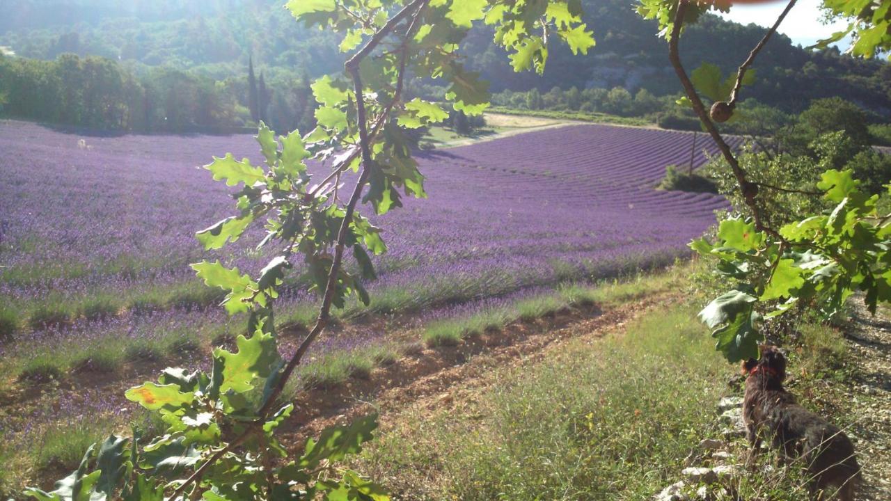 Les Vallons Holiday Home Lioux Εξωτερικό φωτογραφία