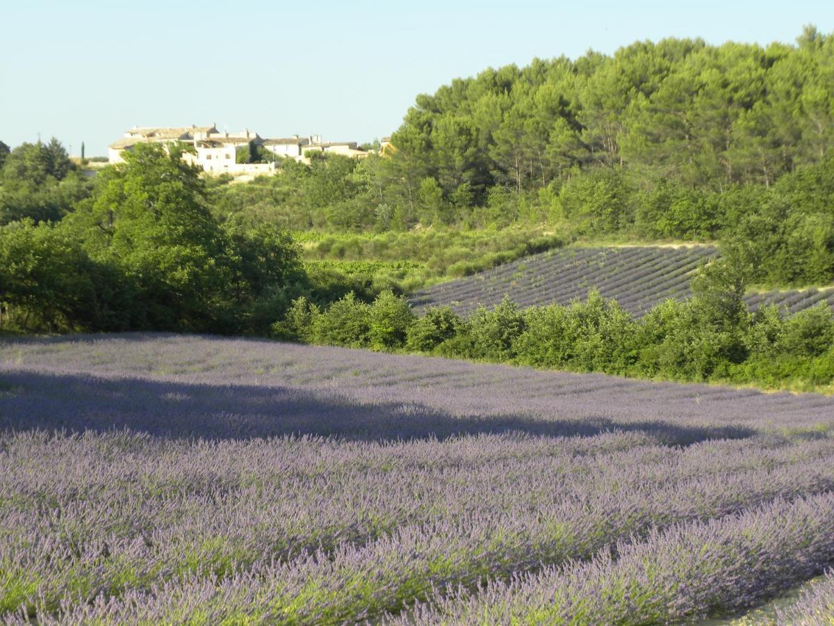 Les Vallons Holiday Home Lioux Εξωτερικό φωτογραφία